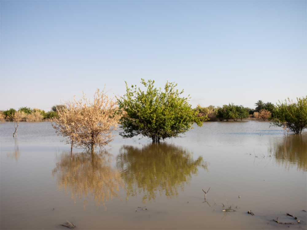 Kooperation DRK und Deutsche Bank Stiftung, Sudan, vorausschauende Hilfe bei Extremwetterereignissen