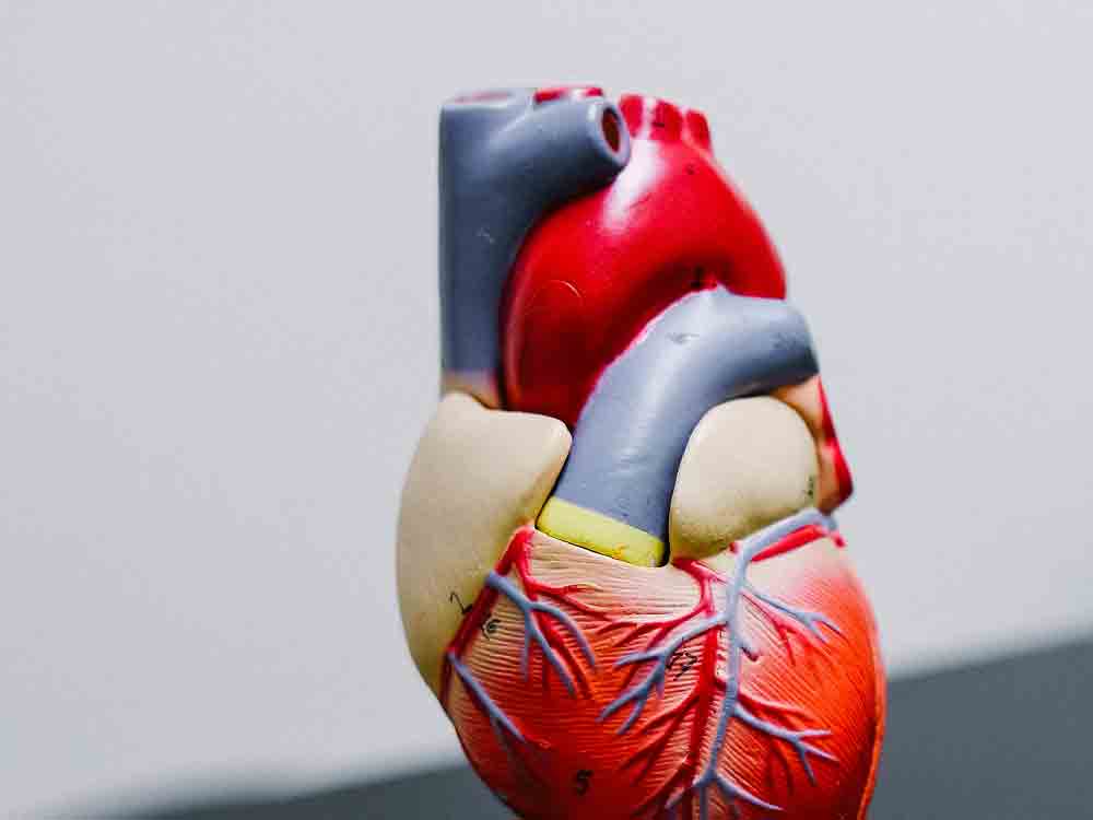 Rolle seelischer Faktoren bei Herzschwäche erstmals umfassend analysiert