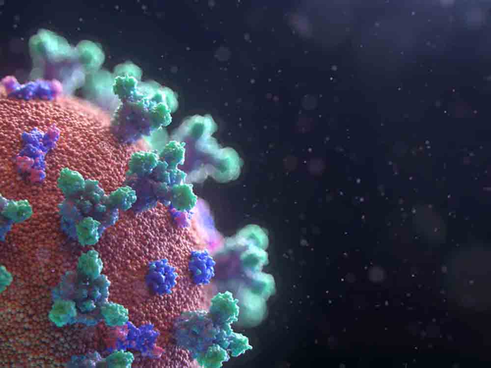 Zielgerichtete Enzyme zerstören Virus RNA, Technische Universität München