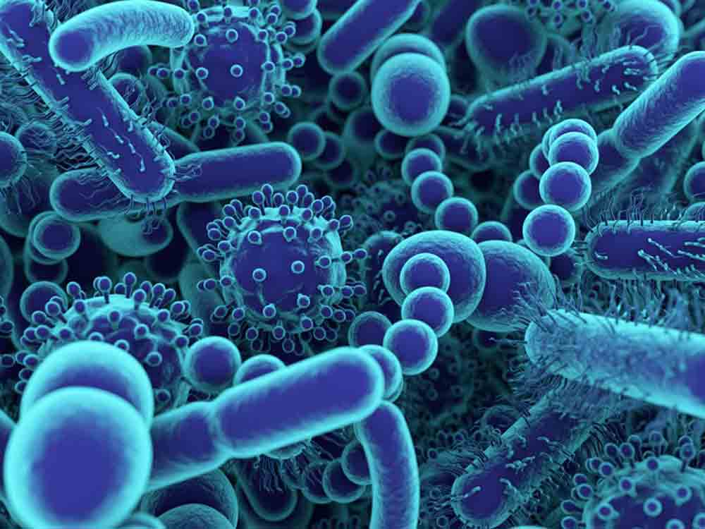 Ekelhaft! Unter dem Fingernagel tummeln sich mehr als 50.000 Bakterien
