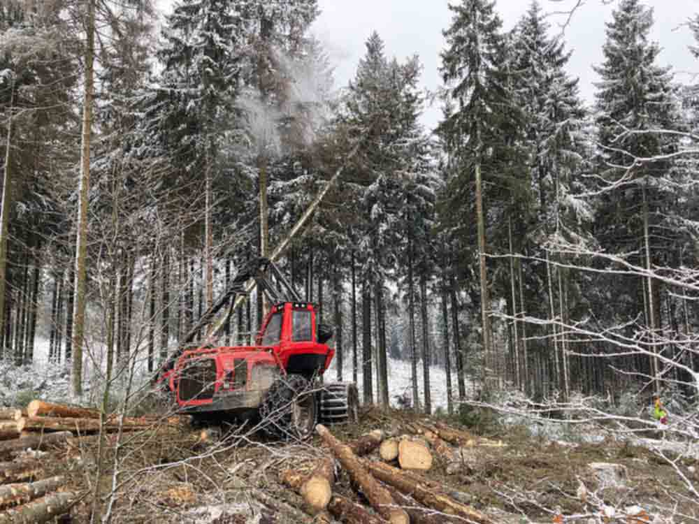 Ehemalige volkseigene Waldfläche soll Nationales Naturerbe werden, Bundesforst übernimmt Betreuung von Gelände bei Rodacherbrunn