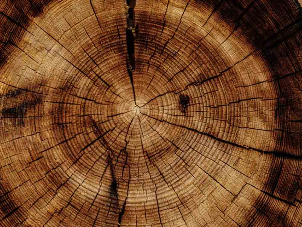 Holzfeuerungen in Bestandsgebäuden, damit die Heizkosten im Rahmen bleiben