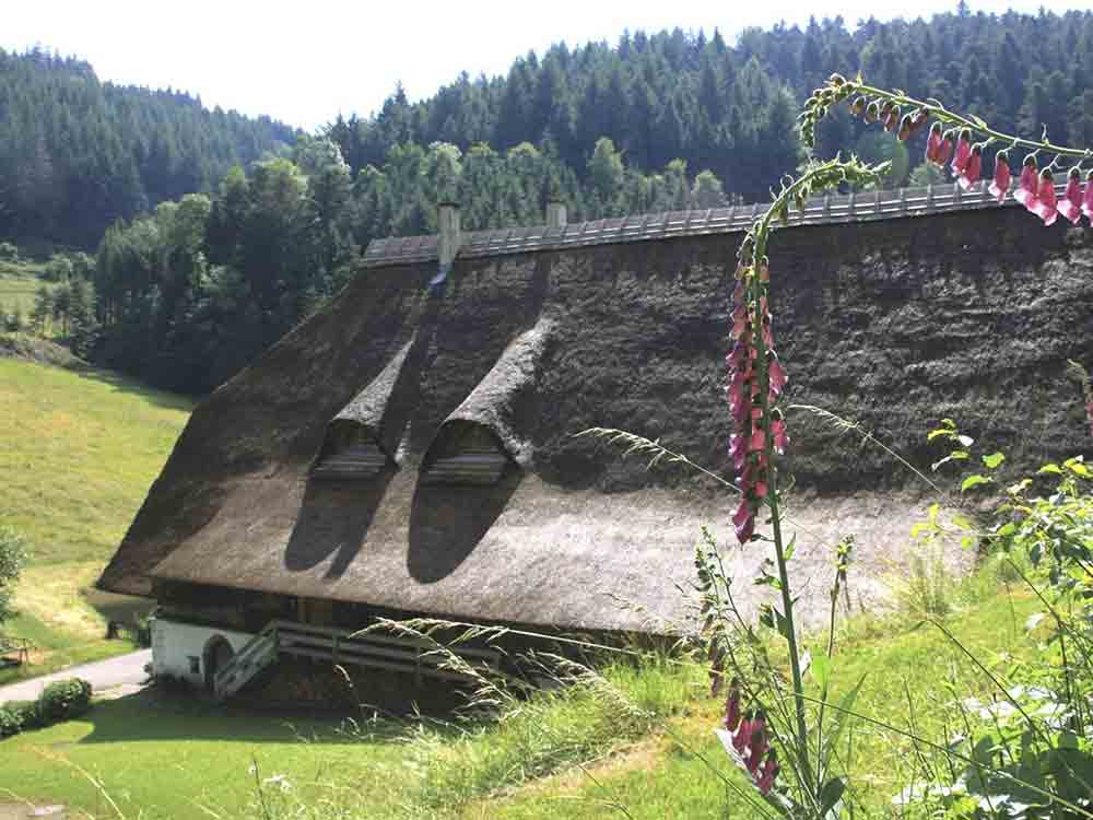 Bauwerk Talk, Form Follows Function, Schwarzwald Ikone Eindachhof