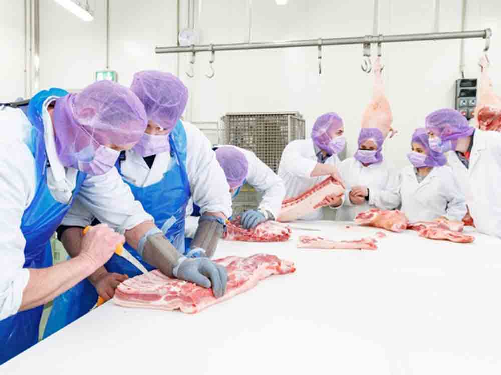 Auszubildende übernehmen die Wurstproduktion im Kaufland Fleischwerk Heilbronn
