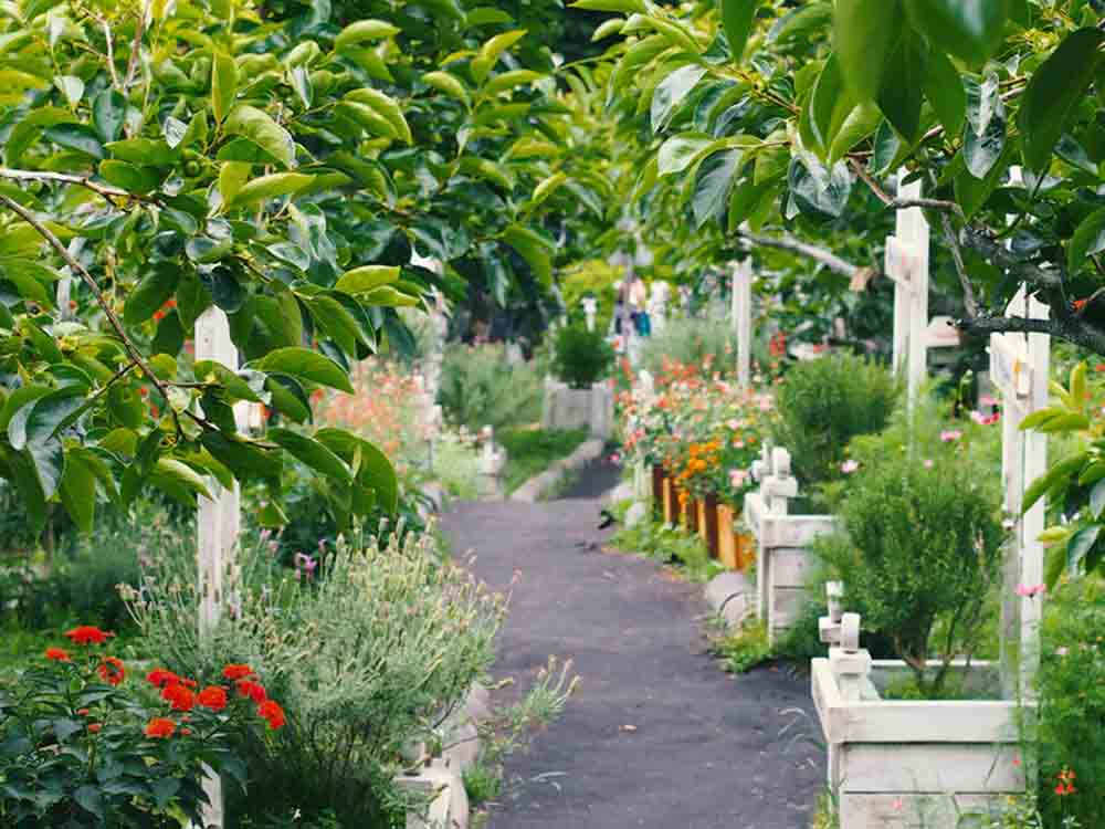 Lebendige Gärten in Gütersloh, Vorträge für Gartenfreunde online und in Präsenz