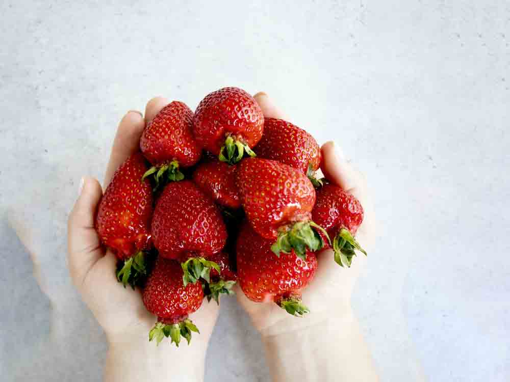 WWF Schweiz, keine Früherdbeeren aus Spanien kaufen, Wasserverbrauch senken
