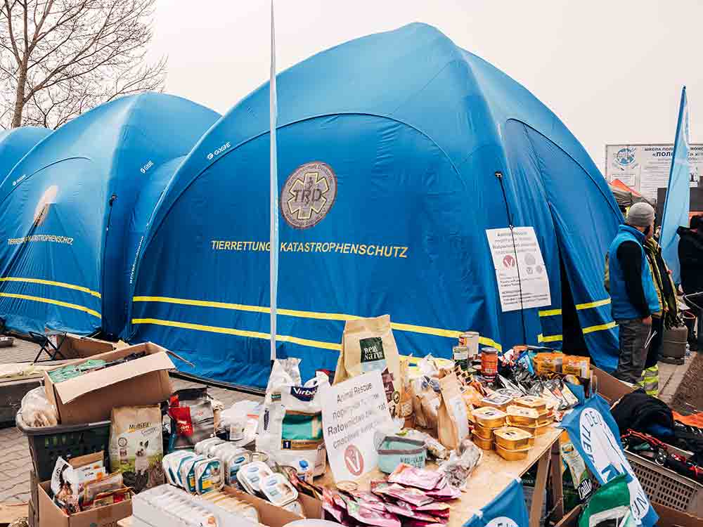 Tierhilfe Camp an ukrainischer Grenze wird international