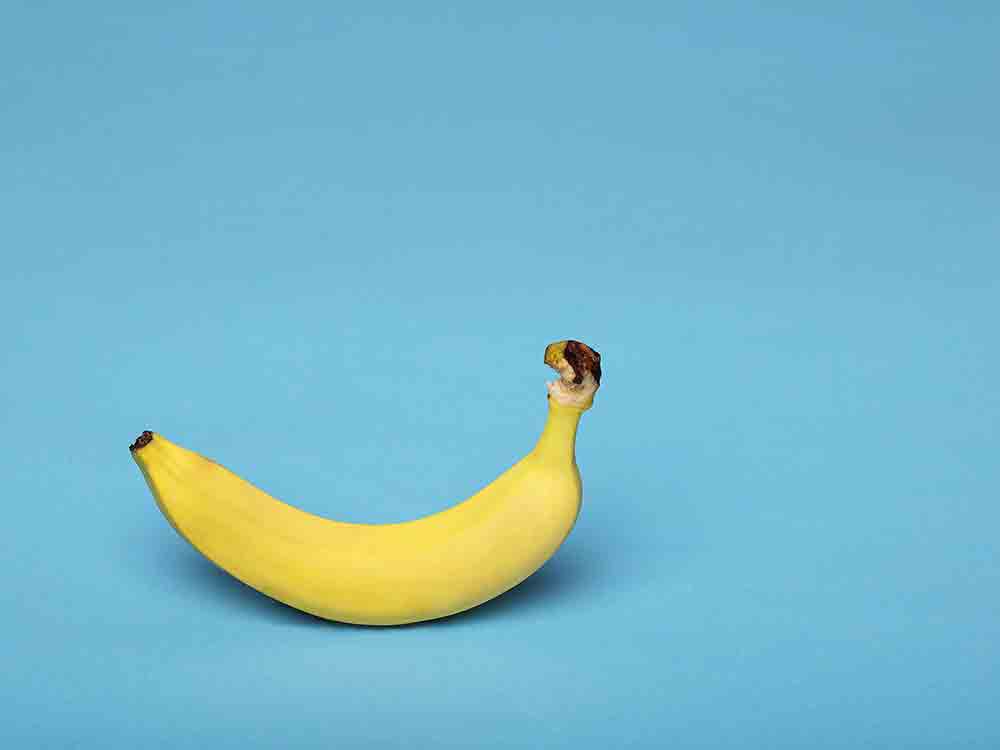 Fairtrade auf der Fruit Logistica 2022, Fairtrade warnt vor Folgen neuer Kostenspirale bei Bananen