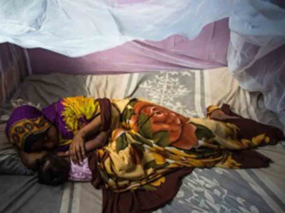 Malaria, Chemikalie lässt Moskitos abstürzen