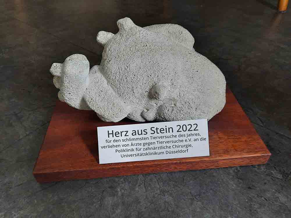 »Herz aus Stein« geht an Universitätsklinikum Düsseldorf