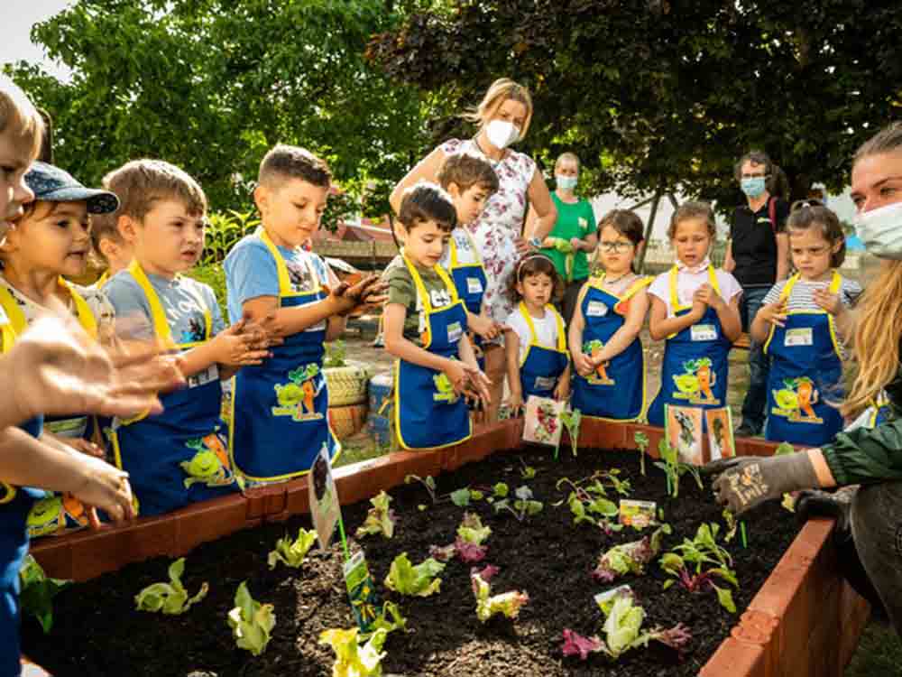 EDEKA Stiftung stärkt Ernährungskompetenz von Kindern, mit Abstand lernen, Gemüsebeete für Kids startet wieder