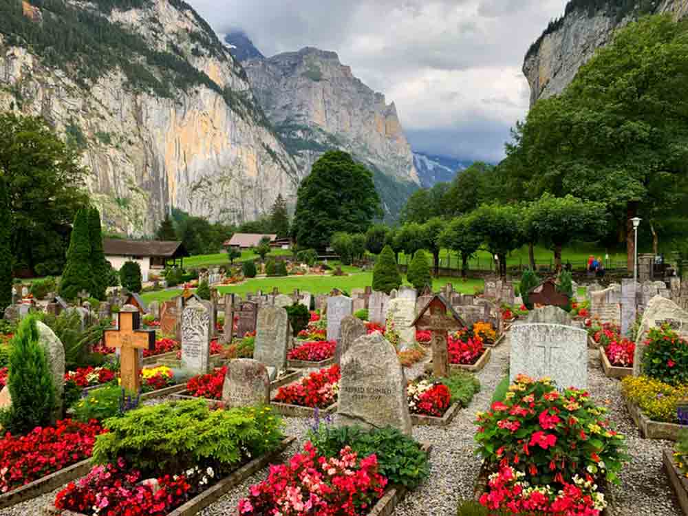 Biodiversität auf dem Friedhof