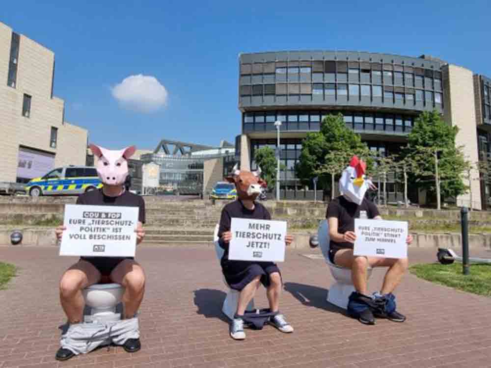 Peta Tiere demonstrierten vorm Düsseldorfer Landtag auf Toilette gegen »besch …« Tierschutzpolitik der Landesregierung