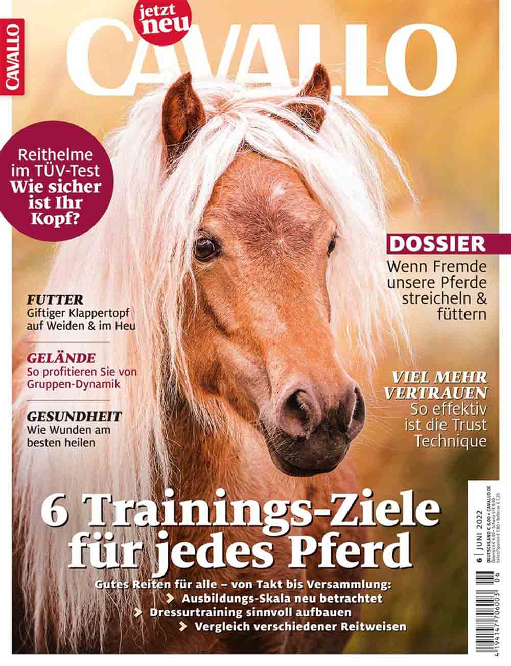 Magazin Cavallo will sensibilisieren, Spaziergänger bringen sich selbst und Pferde auf der Weide häufig in Lebensgefahr