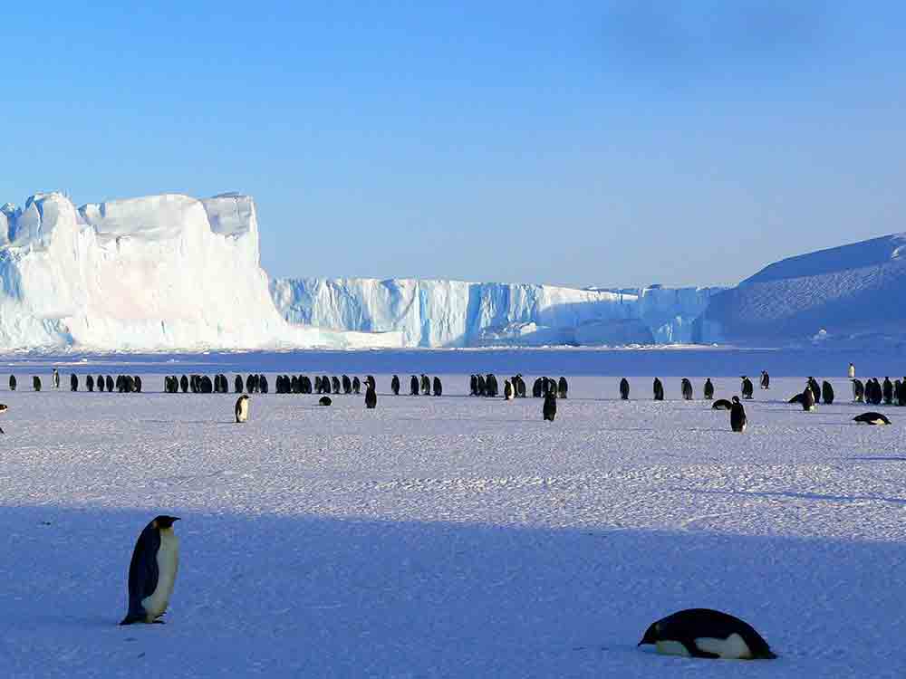 Deutsche Umwelthilfe und weitere Organisationen machen auf wachsende Bedrohungen für die Antarktis aufmerksam