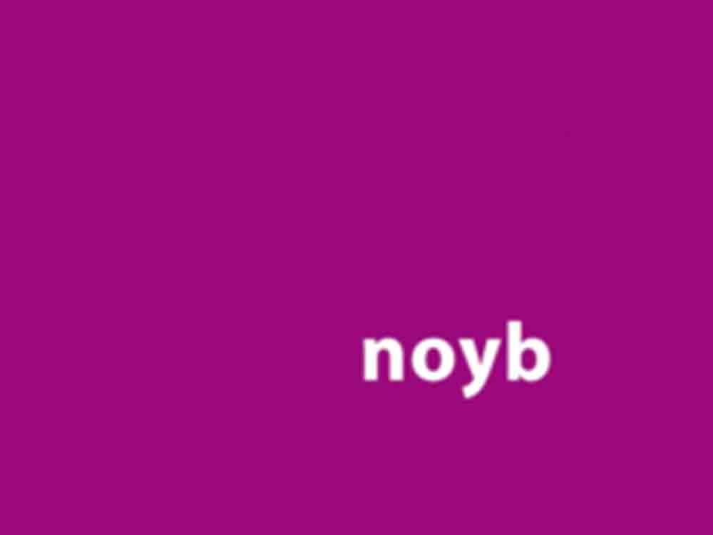 Noyb, Statement zum 4. Jahrestag der DSGVO