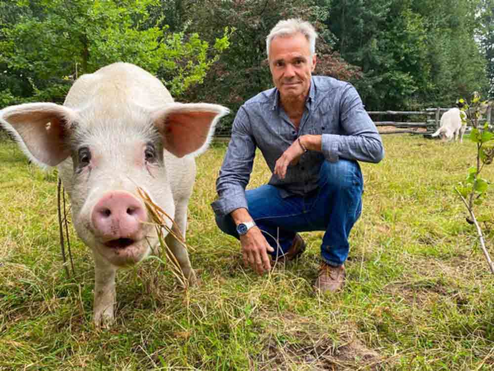 Neue ZDF Doku, Hannes Jaenicke im Einsatz für das Schwein