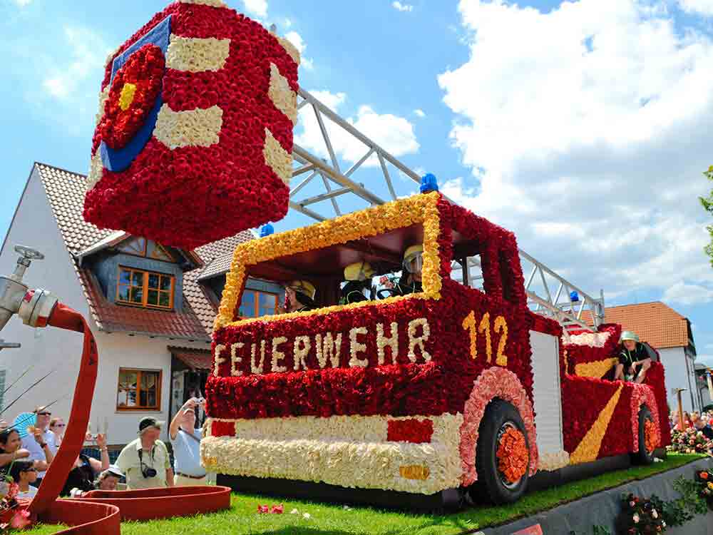 47. Steinfurther Rosenfest findet statt, 15. bis 18. Juli 2022