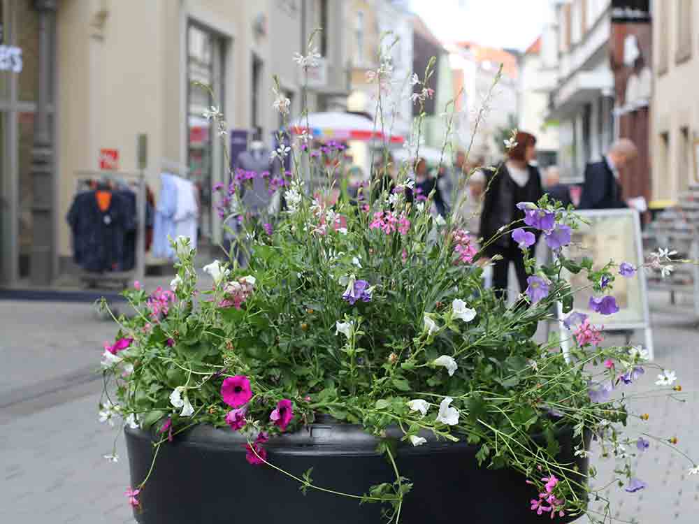Herford, Blumenkübel verschönern die Innenstadt