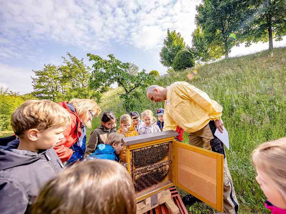 Auf Bertelsmann Gelände, Bienen Exkursion zum Weltbienentag 2022
