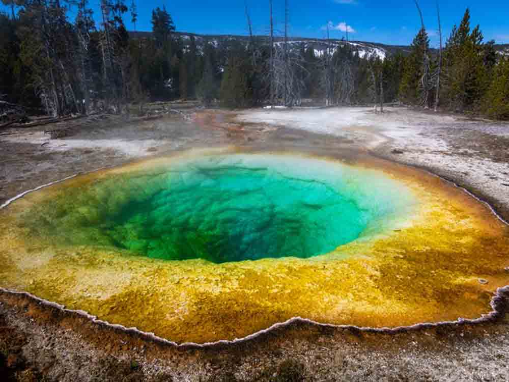 Yellowstone Day Tours Able to Take Guests to Yellowstone without a Reservation Once Park Reopens