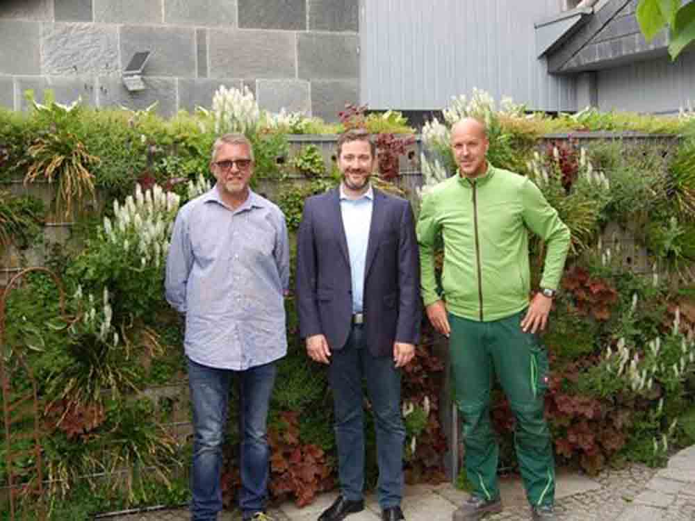 Herzebrock Clarholz, begrünte Gabionen für Umweltschutz, Schallschutz und Sichtschutz, Bürgermeister besucht Gartenbauunternehmen Hankemeier