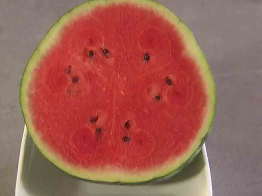 Melonen, erfrischend und vielseitig, »Marktcheck« im SWR Fernsehen