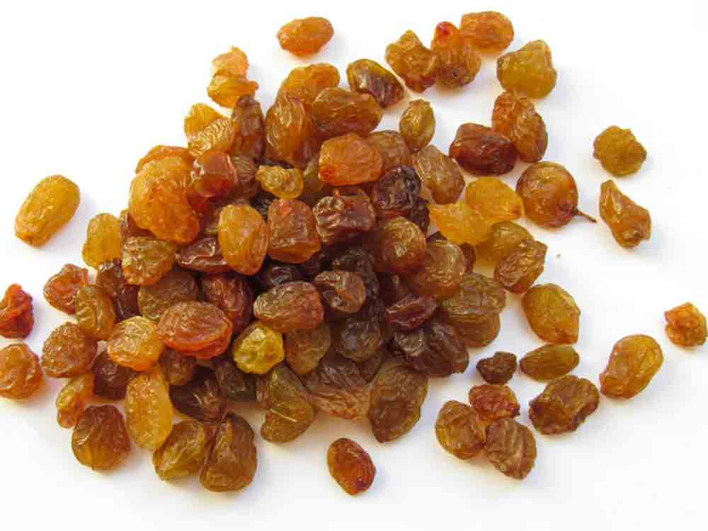 Clean South African raisins prove a hit in the German market