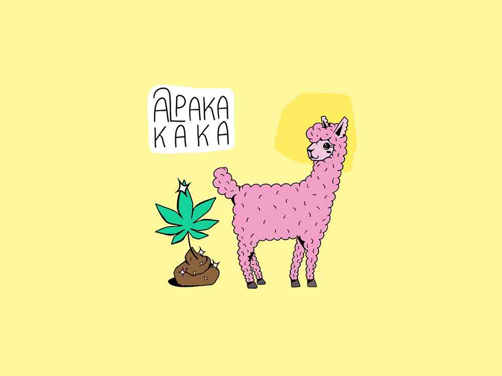 Neu in der ARD Audiothek, MDR Podcast Serie »Alpakakaka – Kiffen, Kot und Klöße«