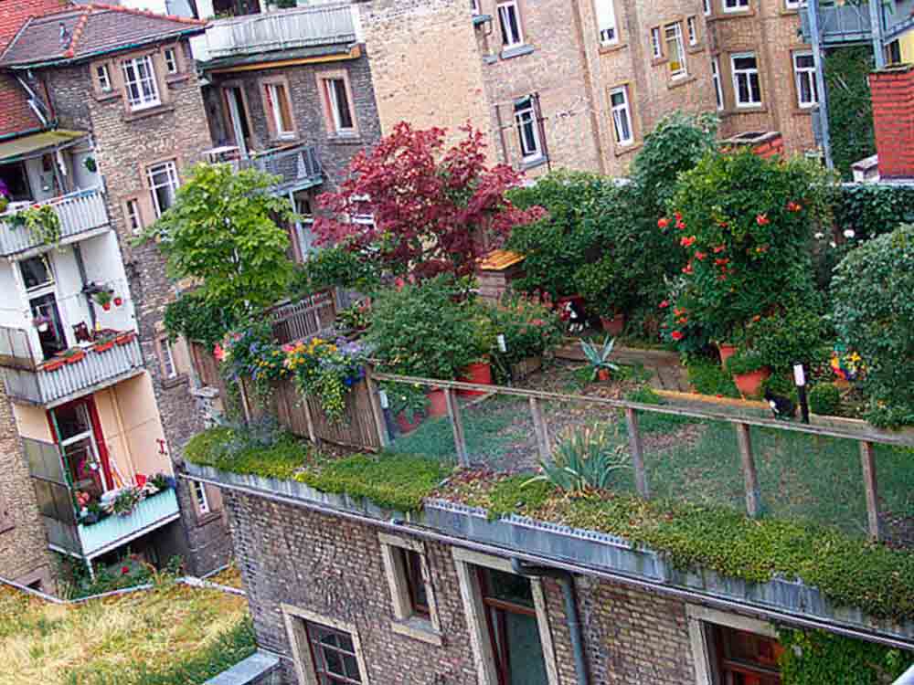 Kooperation für mehr grüne Dächer und Fassaden