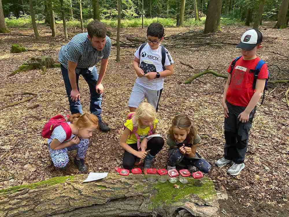 Rheda Wiedenbrück, Ferienspiele, im Wald mit der Umweltberatung