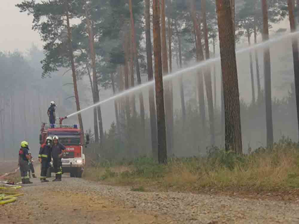 Explosionsgefahr im Wald, MDR Webserie Exactly über gefährliche Feuerwehreinsätze