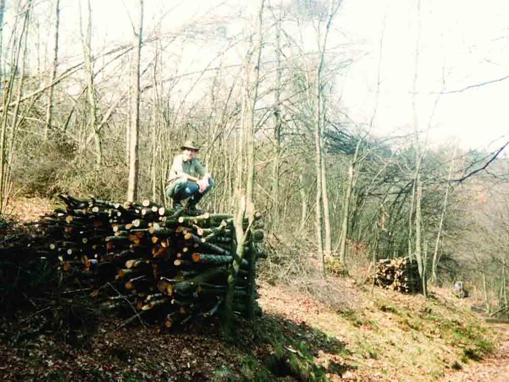 Arnsberg, Erinnerungen an den Wald, Kunstprojekt Das Brotbaumregime ruft zur Beteiligung auf