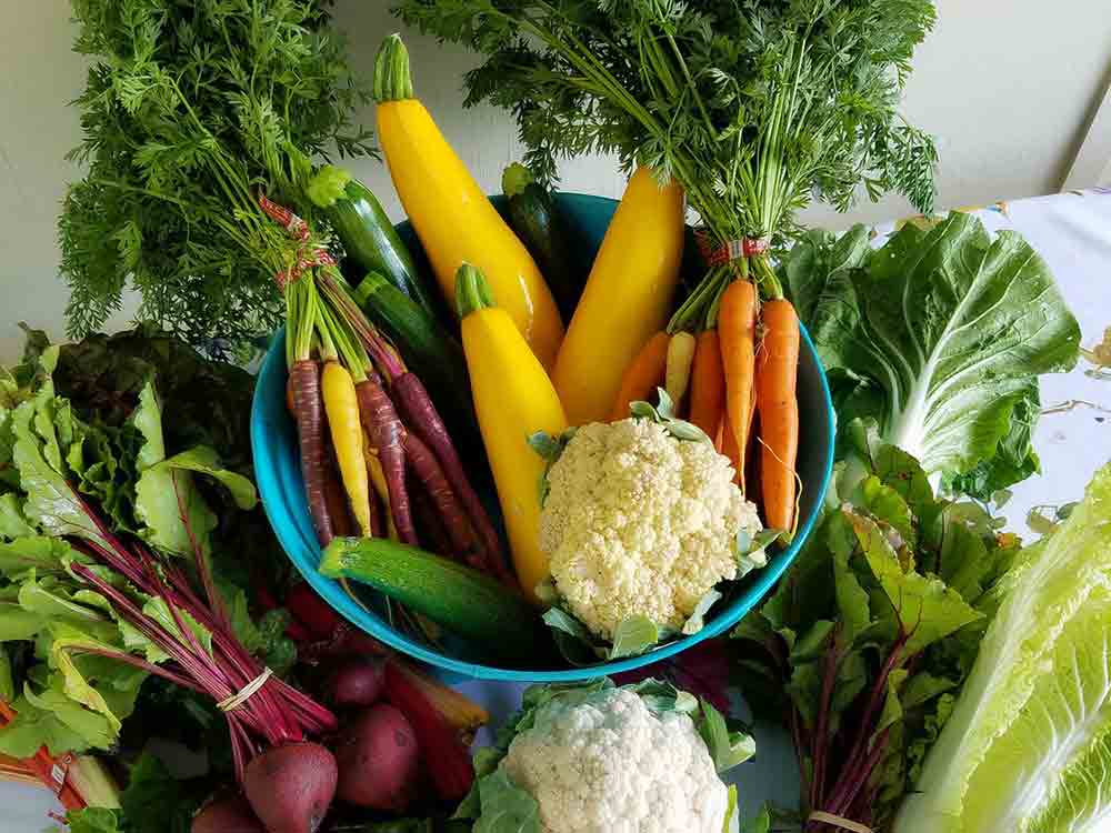 Kleine Tricks bei hohen Preisen, wertvolle Spartipps für Obst und Gemüse