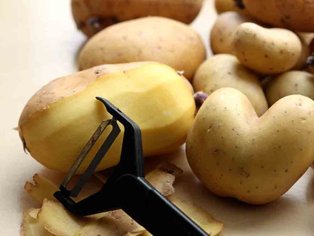 Kunstvolle Kartoffeln, 365 Tales From The Niederrhein