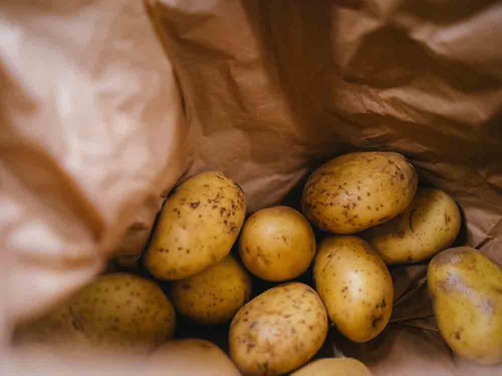 Gütersloh, Kartoffeln, die 6 häufigsten Irrtümer