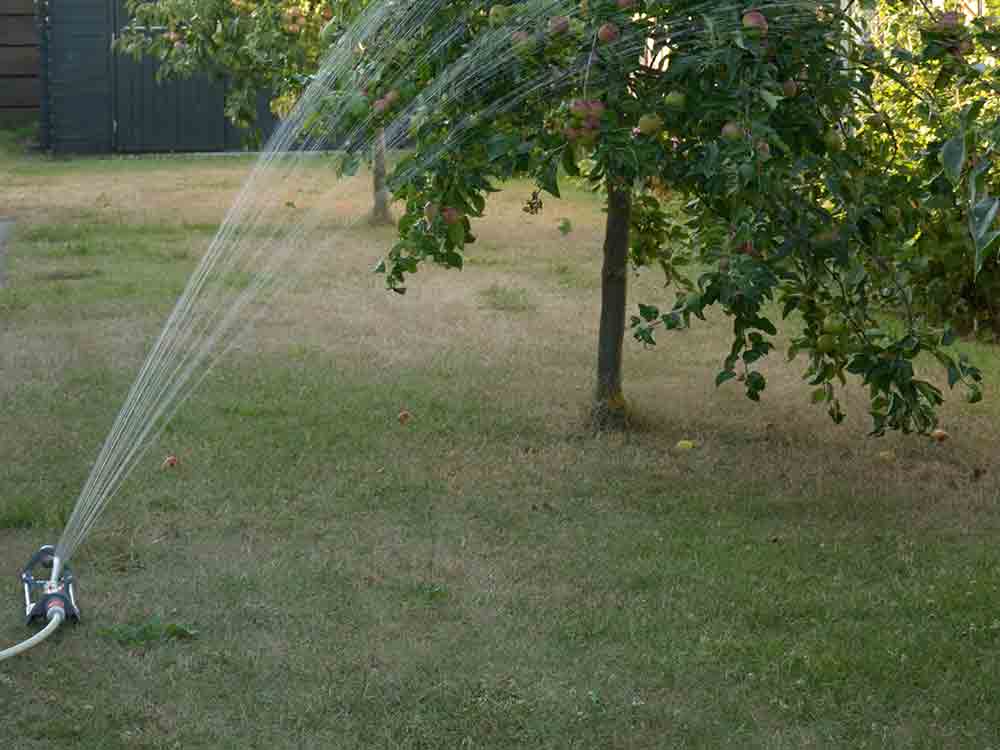 Wasserverschwendung durch Rasensprenger vermeiden
