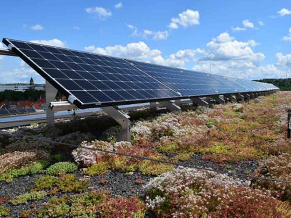 Photovoltaik oder Dachbegrünung, ein Solargründach bietet beides