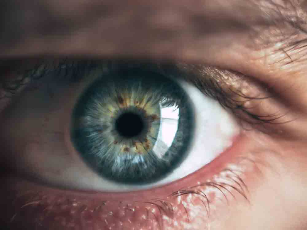 Was passiert, wenn das Auge seine Funktion verliert? KVWL Sprechstunde zur Makuladegeneration