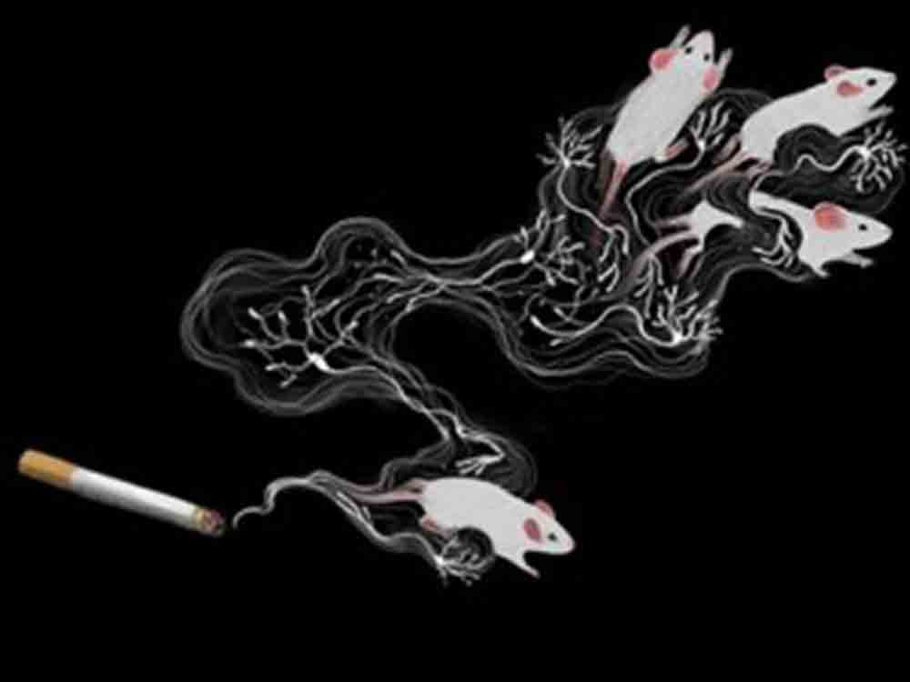 Medikament stoppt Glücksgefühl durch Nikotin