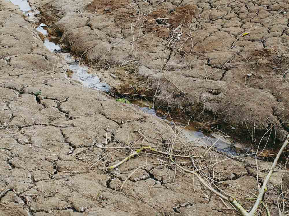 Dürren gefährden Grundwasserneubildung, Bioland fordert stärkeren Schutz der Trinkwasserressourcen