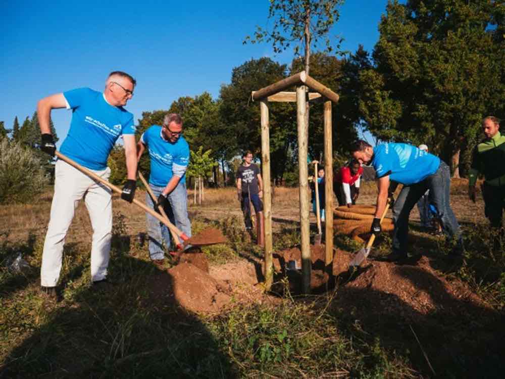 Der Freiwilligentag der Metropolregion Rhein Neckar rückt näher, knapp ein Monat bis zum großen Mitmach Event am 17. September 2022