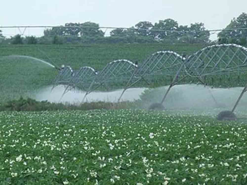 VDI, Dürresommer, ist Landwirtschaft ohne Bewässerung noch möglich?