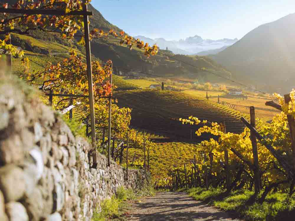 Glühende Berge und genussvolle Bräuche, der Herbst im Südtirol, Wanderungen und Weinfeste