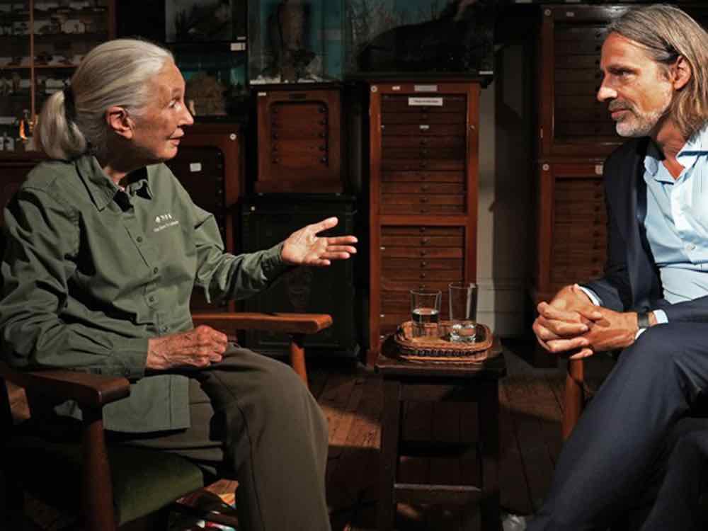 10 Jahre Precht im ZDF, Jubiläumssendung mit Jane Goodall