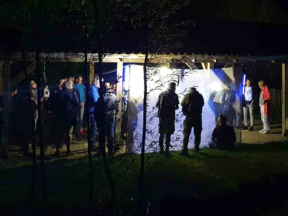 Das große Leuchten in Oelde, Insektennacht mit öffentlicher Leuchtaktion im Naturschutzgebiet Bergeler Wald, 16. September 2022