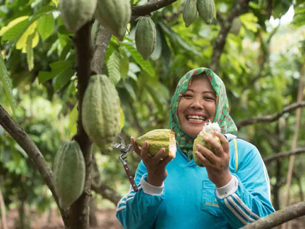 Mondelez International investiert insgesamt 1 Milliarde US Dollar in Nachhaltigkeitsprogramm Cocoa Life bis 2030