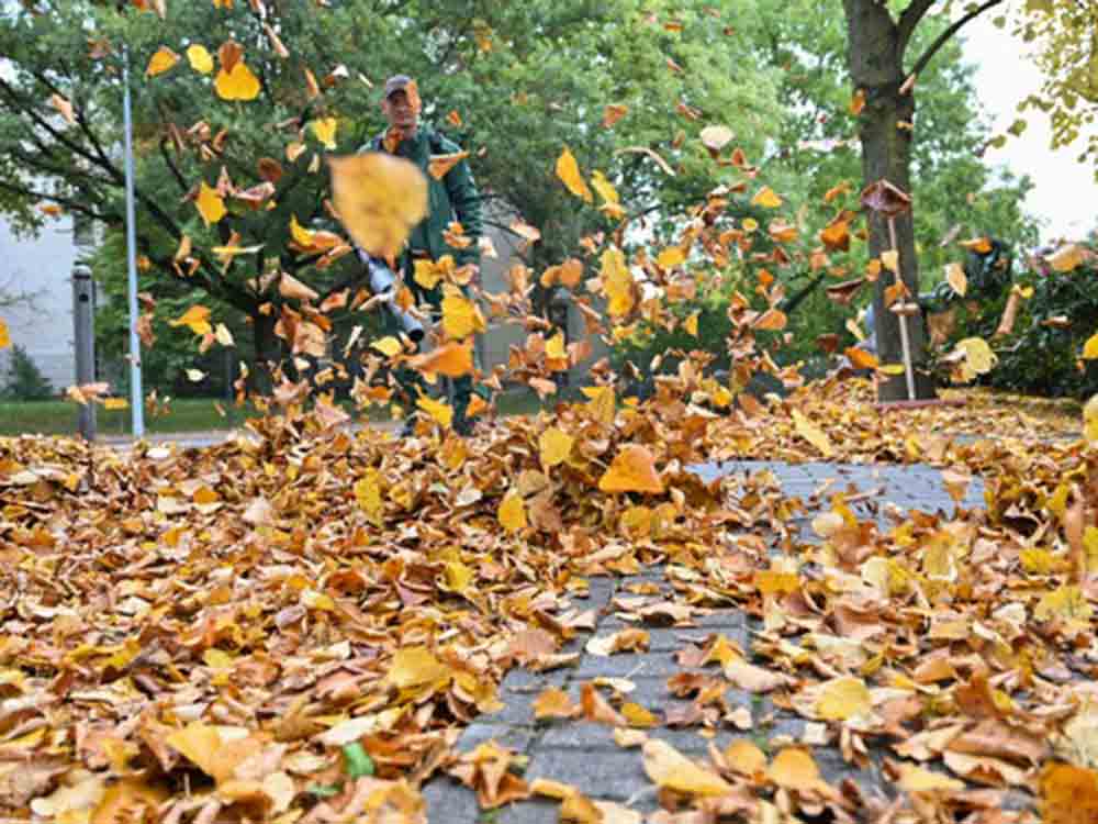 HUK Coburg, Tipps für den Alltag, Herbst, wer muss Bürgersteig vom Laub freihalten?