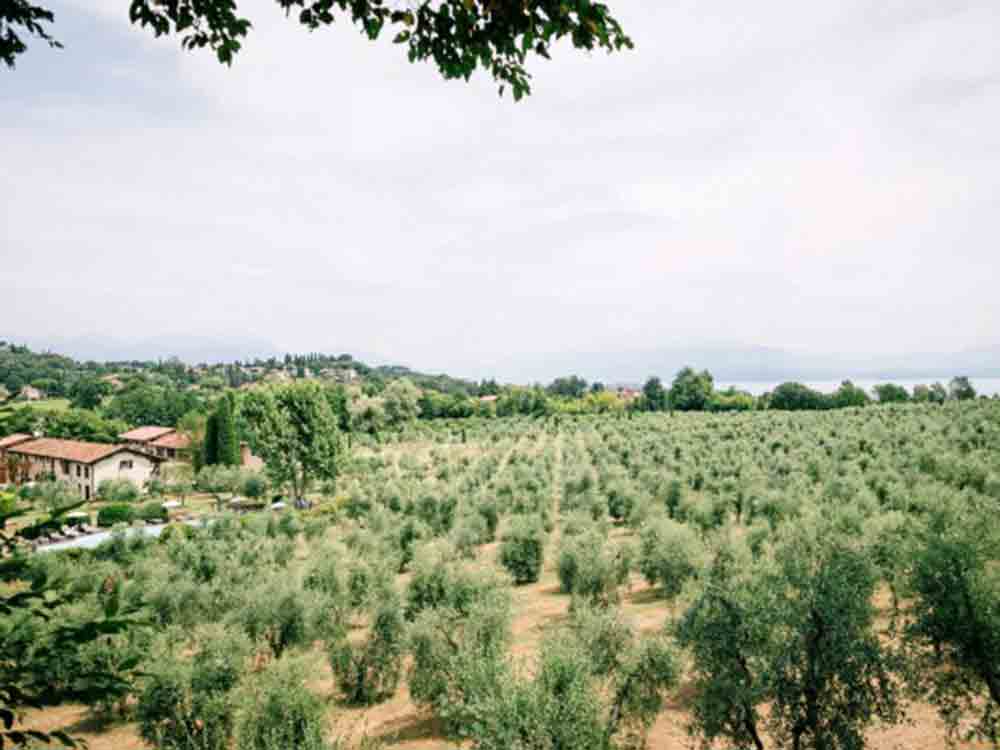 Vorräte für zu Hause aus dem Hofladen am Gardasee, Olivenöl, Parmigiano Reggiano, Grana Padano, Konfitüren