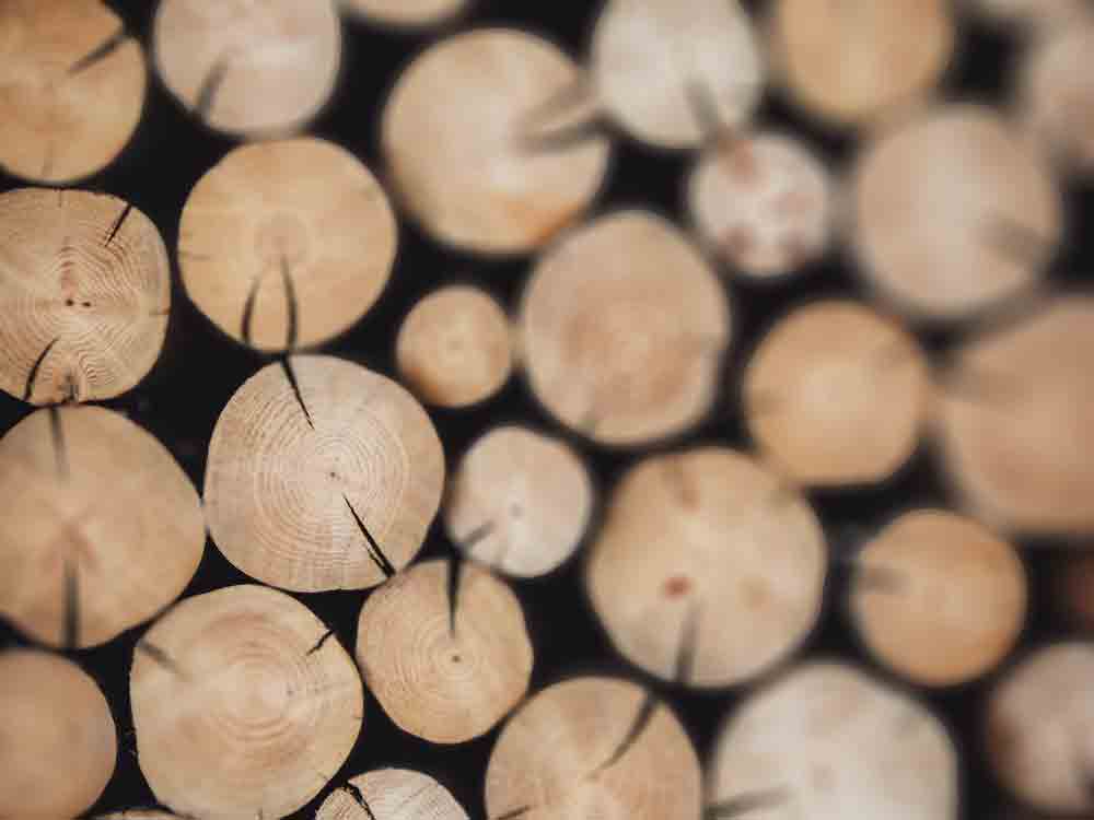 HKI, eichtig Heizen mit Holz, gute Tipps für umweltschonendes Heizen